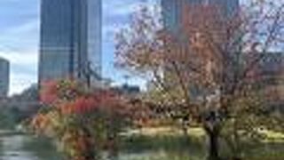 日本庭園と紅葉