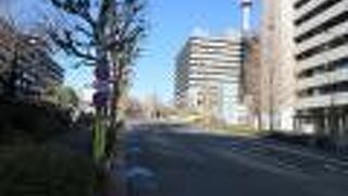 歩道と車道はきれいに分離されており、落ち着いて散策することが出来ました。