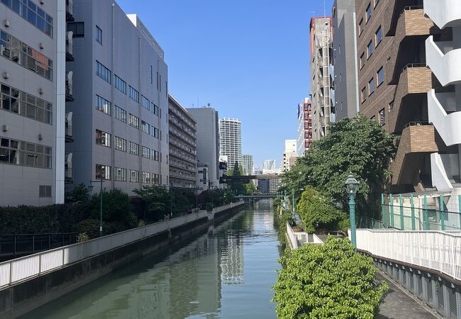 川沿いの散歩道