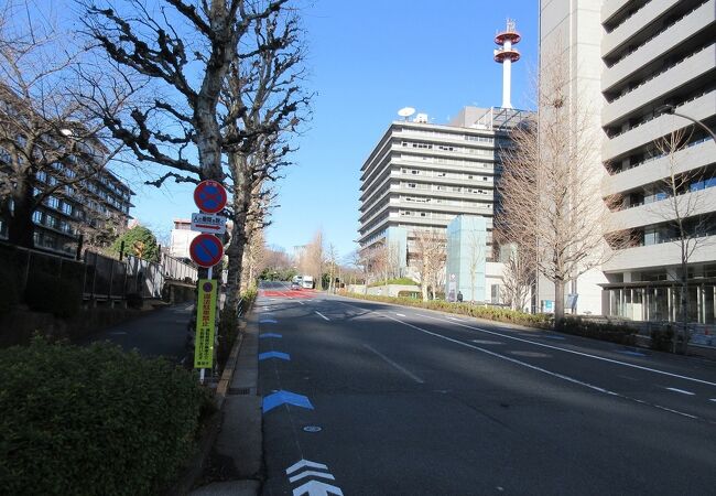 歩道と車道はきれいに分離されており、落ち着いて散策することが出来ました。