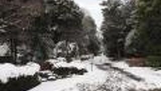 彫刻などのある堀であった道