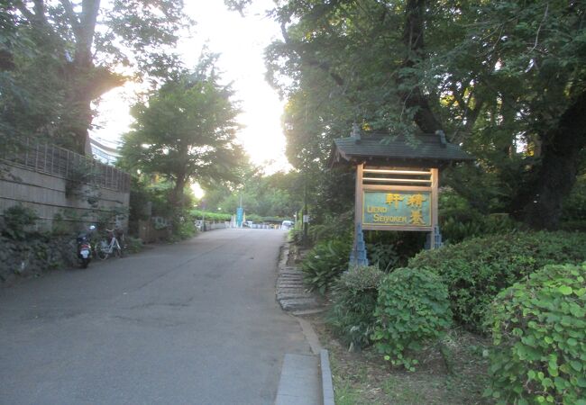 高級感がにじみ出ていました