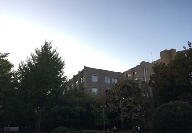 東京大学