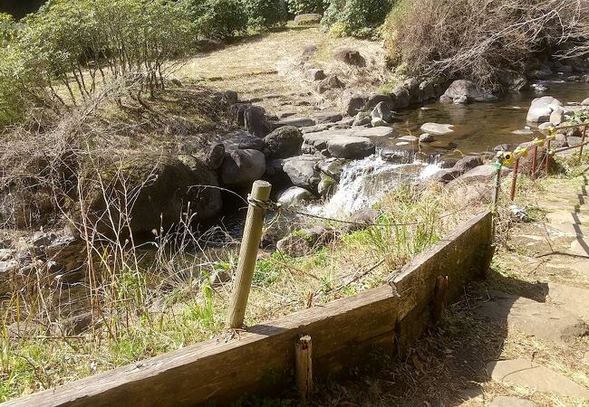 川沿いの整備された公園