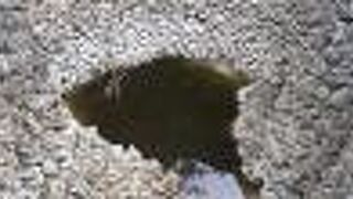 かつては竹富島の命綱