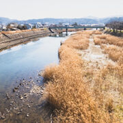 のんびりした風景がよかったです。