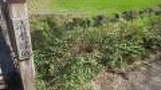 駅の目の前にある公園