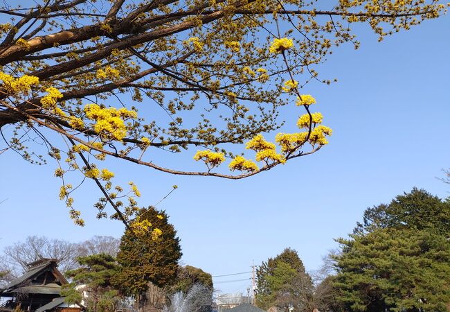 早春の風景