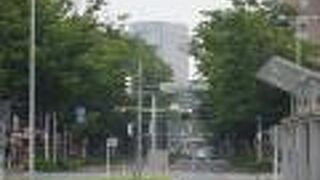 前橋駅前に続くけやき並木