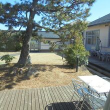 レストラン内から見た中庭