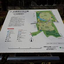 都立武蔵国分寺公園