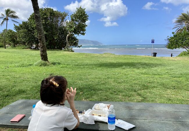 広い芝の公園