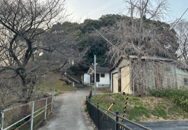 公園併設