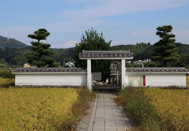 龍潭寺門前の井戸