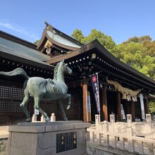 斜めからの拝殿と馬