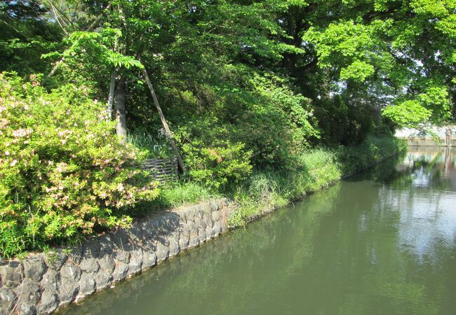 前橋・高崎散策・城探訪で高崎城址に行きました