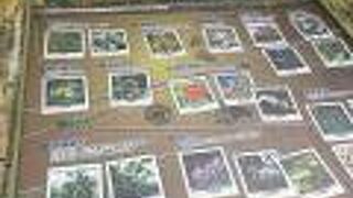 国立自然科学博物館