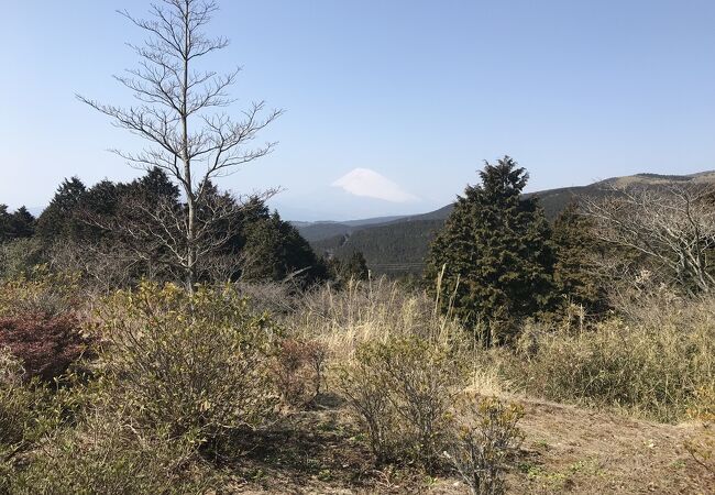 十国峠（静岡県函南）ー富士山の眺めー知名度だけの期待外れ：急カーブ連続のコース