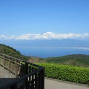 駿河湾越しの富士山が絶景