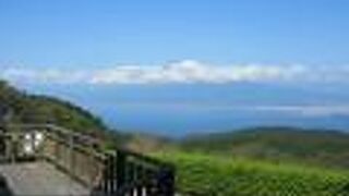 駿河湾越しの富士山が絶景
