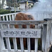 温泉寺近くの城崎の源泉です