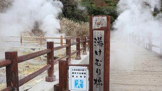 雲仙地獄の散歩は朝がお薦めです