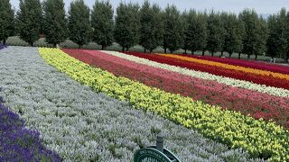 いつでも綺麗！