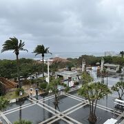 水族館と植物園を中心に楽しめる