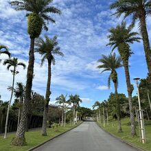 熱帯・亜熱帯都市緑化植物園