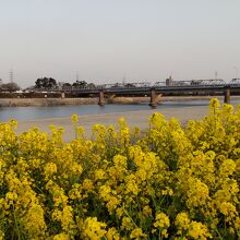 武庫川河川敷緑地