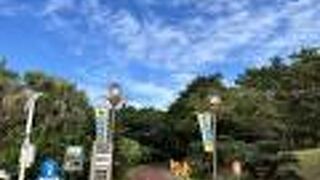 海洋博公園にある無料の施設