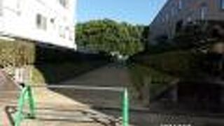 奈良市内にあるのです。周りは寺社や住宅です。