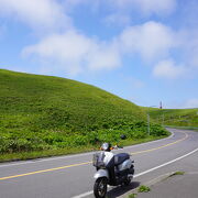 礼文島ではレンタバイクがベスト