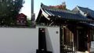 散り椿でも有名です。