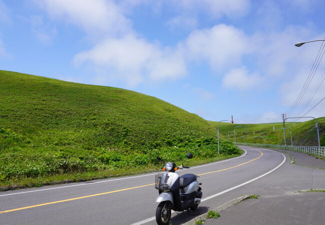 礼文島ではレンタバイクがベスト