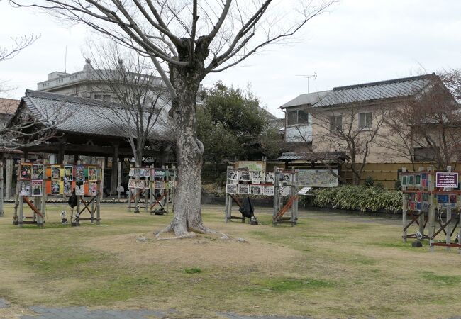 さくら湯の真ん前、足湯あり