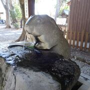 可愛いうさぎがお出迎え♪埼玉県浦和御鎮座《調神社》