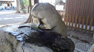 可愛いうさぎがお出迎え♪埼玉県浦和御鎮座《調神社》