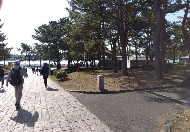 海の公園