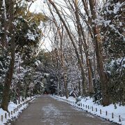 紅白の組み合わせが美しい