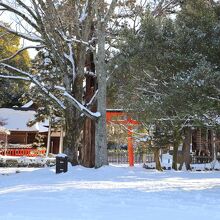 馬場からの景色