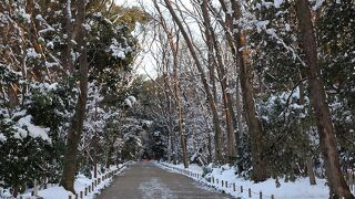 紅白の組み合わせが美しい