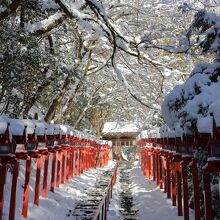 本宮参道