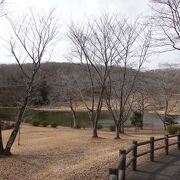 緑豊かで自然あふれる公園