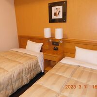 ビジネスホテルのツインとしては広いです