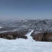 はやくも超春雪