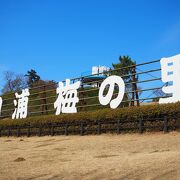 広大な梅公園でした。