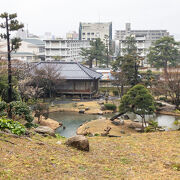 おすすめの鑑賞ポイントは鳥取城二ノ丸です