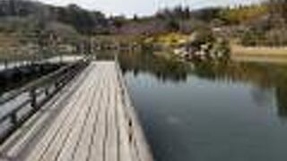 梅の花の香が漂う、県外のシニアも入園無料