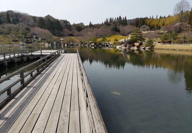 梅の花の香が漂う、県外のシニアも入園無料